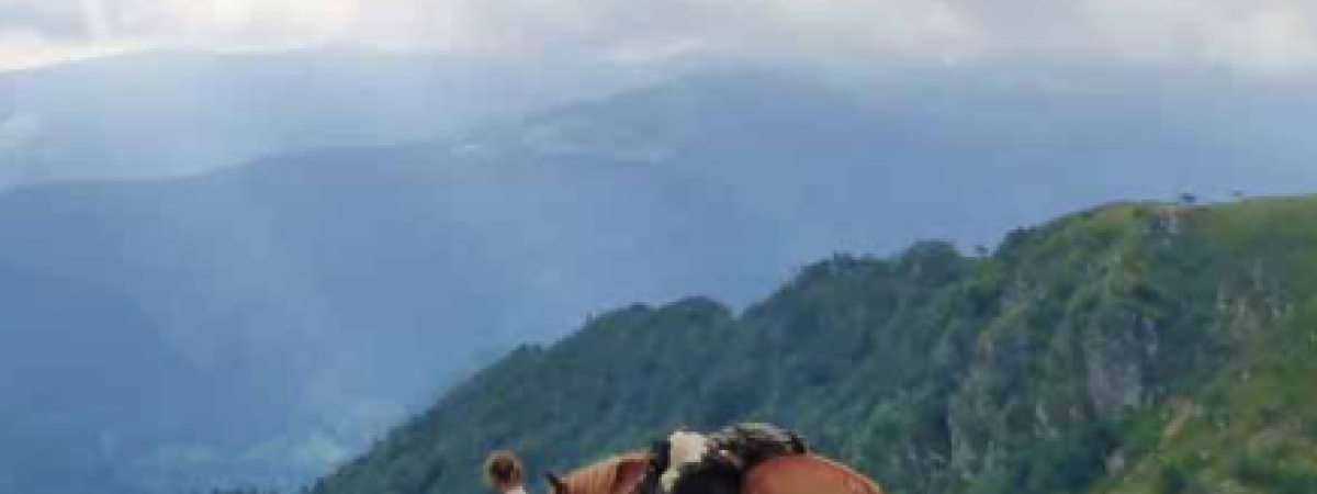 Equi'Vosges